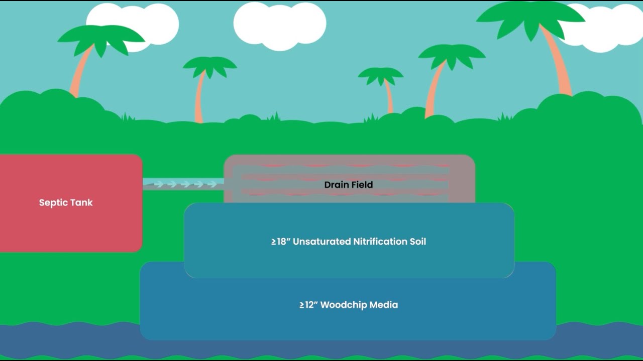 INRB Monitoring 