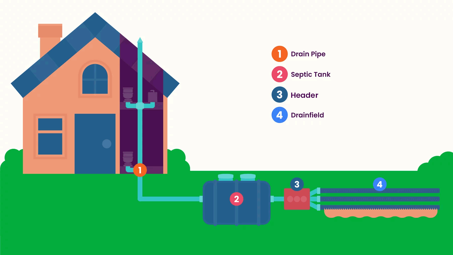 Illustration of a home's septic system, highlighting the drain pipe, septic tank, header, and drainfield.