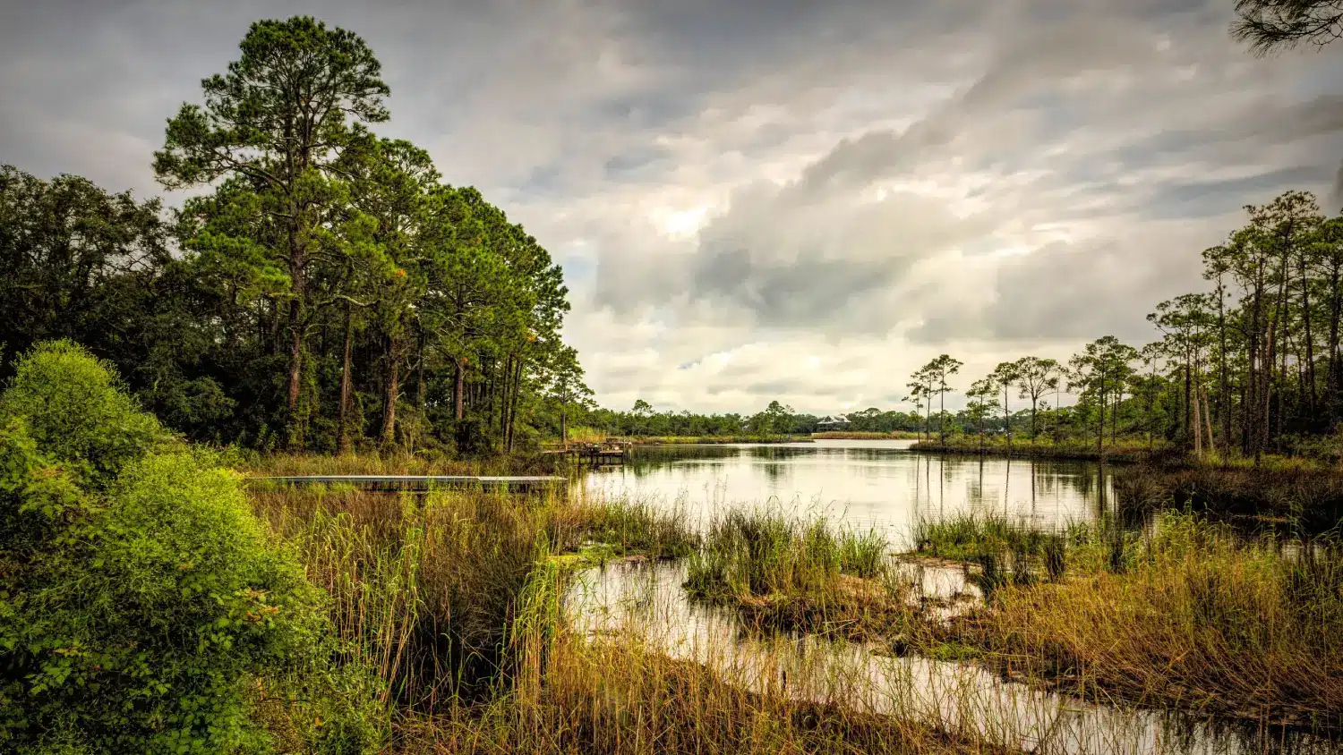 A serene landscape in Pasco County, FL, featuring a calm lake surrounded by lush greenery and trees under a cloudy sky.