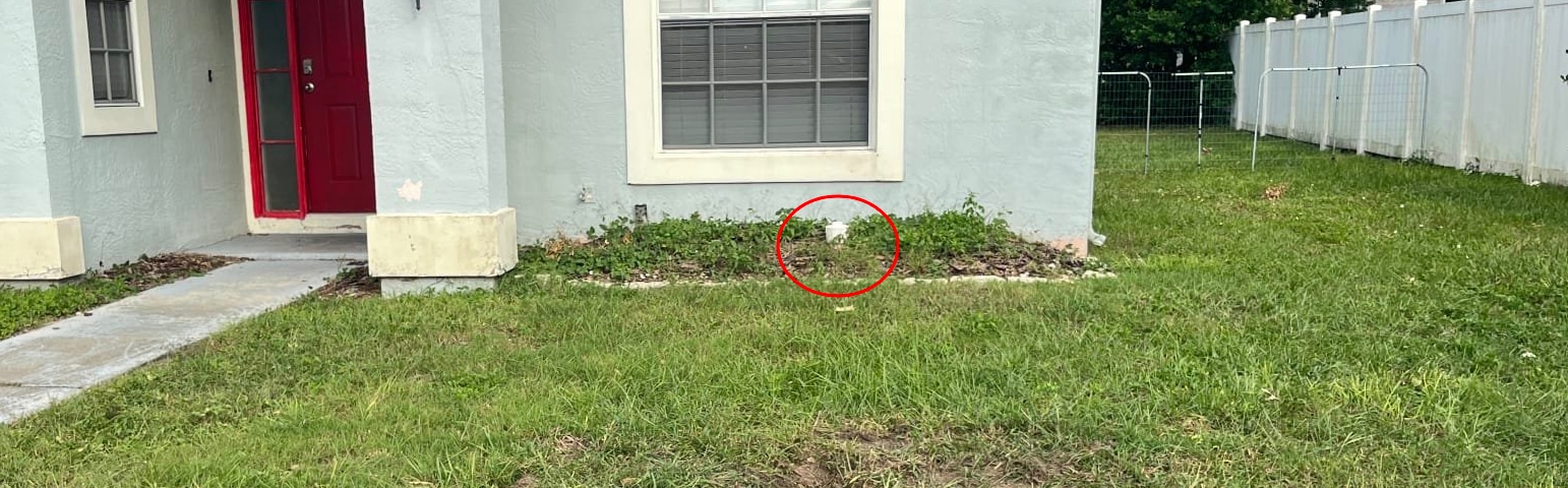 A picture of a Florida front yard with a visible septic vent