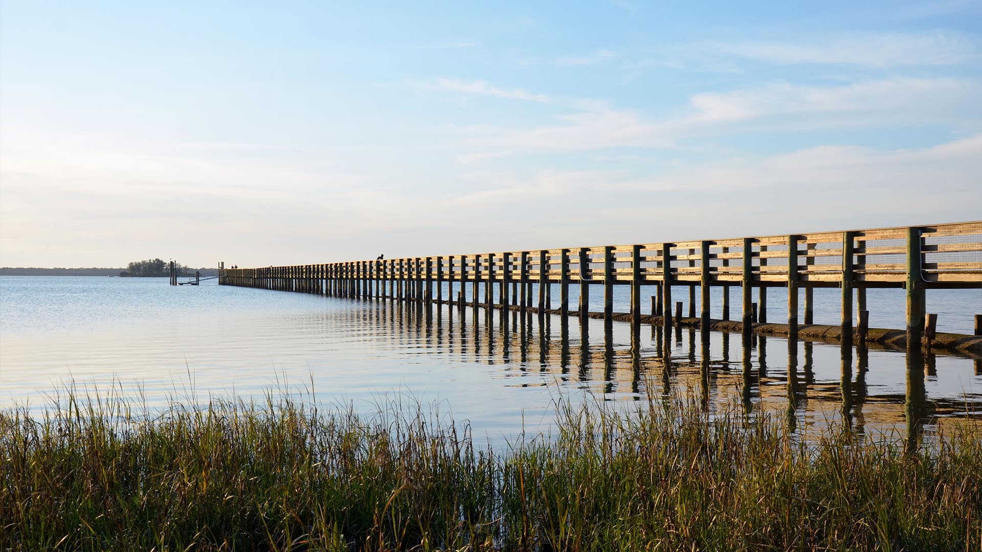 A pier near Dunedin, Florida.